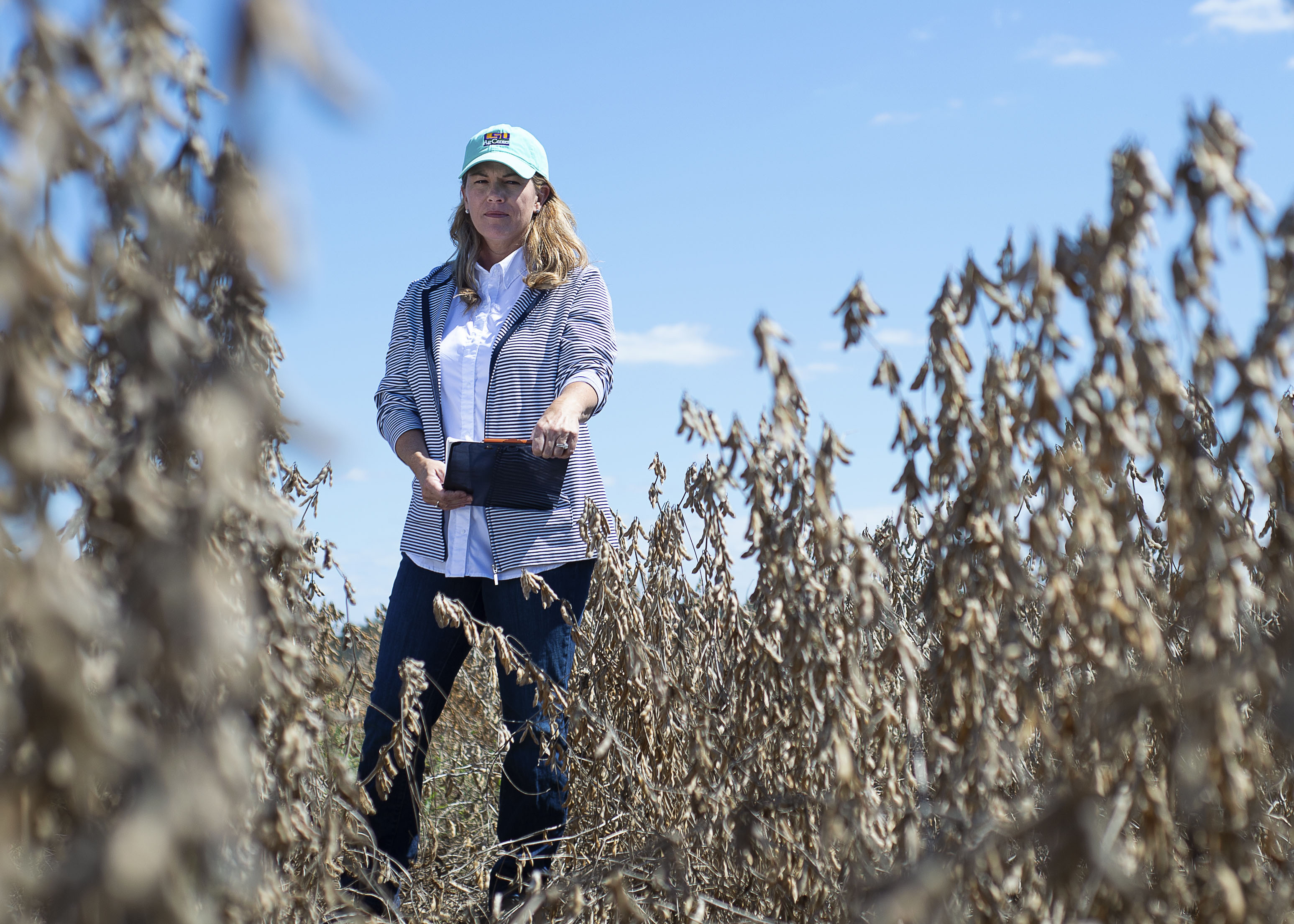 Do Winter Cover Crop Seeding Rates and Soil Type Impact Soybean Production?